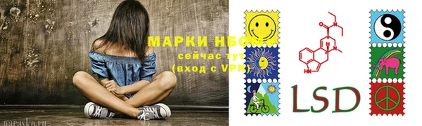 PSILOCYBIN Алексеевка