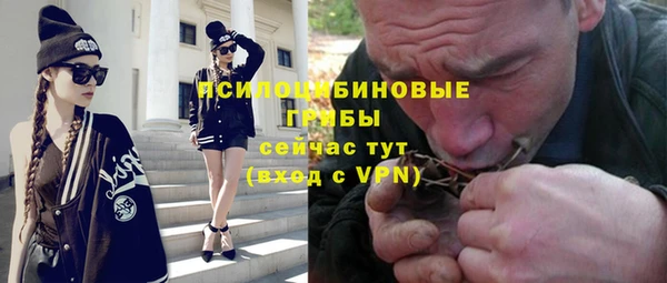 PSILOCYBIN Алексеевка