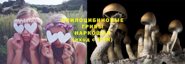 таблы Алзамай