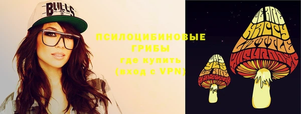 прущий лед Алексин