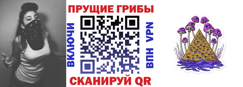 Псилоцибиновые грибы Cubensis  сколько стоит  Ярославль 